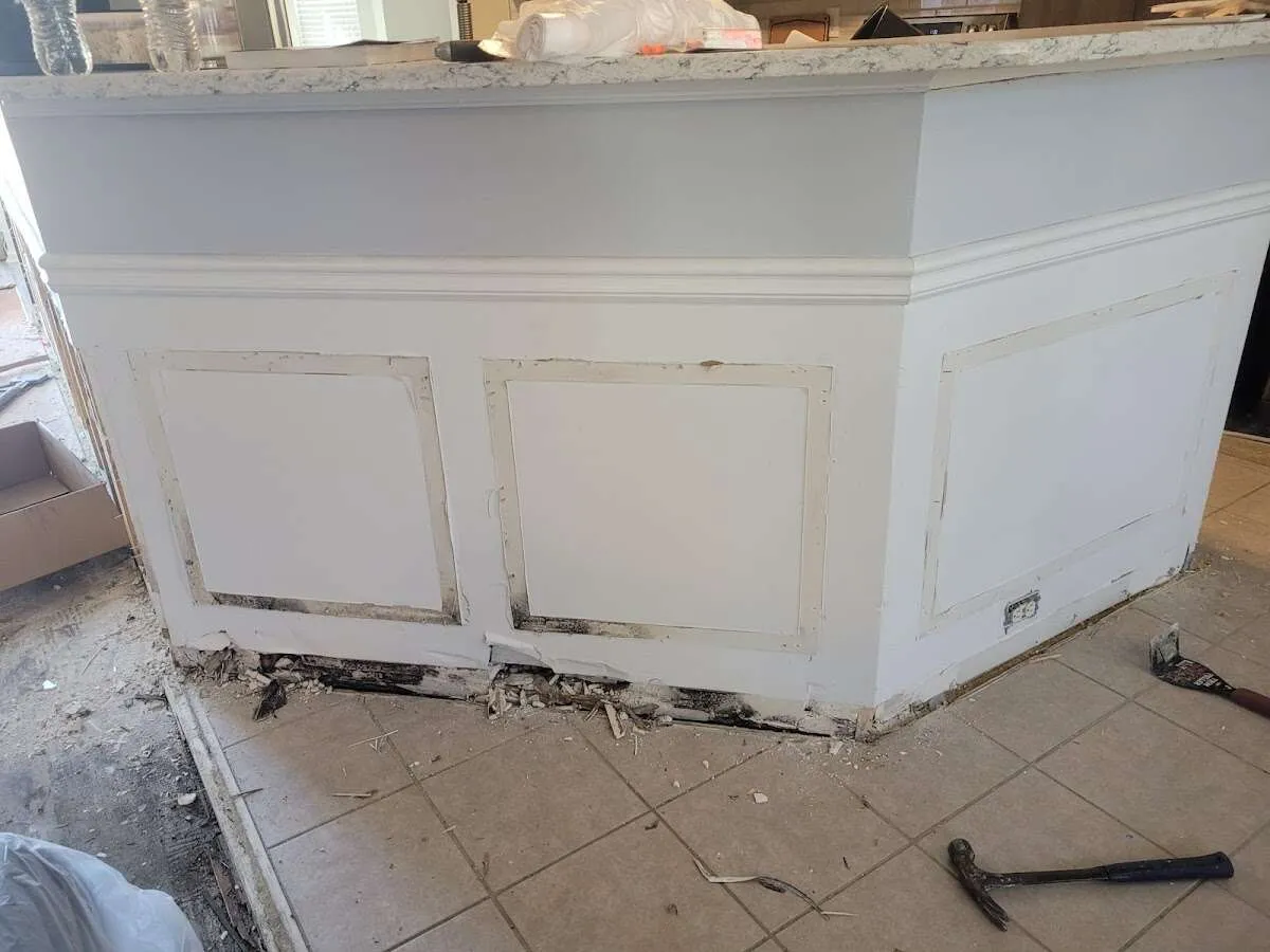 Water damage and mold on kitchen during Sewage Cleanup & Sanitation in Swansea